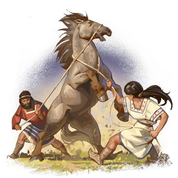 A Steed For A Colossus II