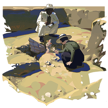 The Cradle of Humankind II