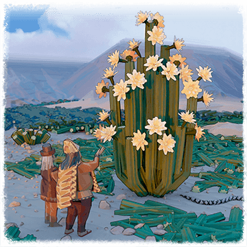 The Hidden Lives of Cacti II